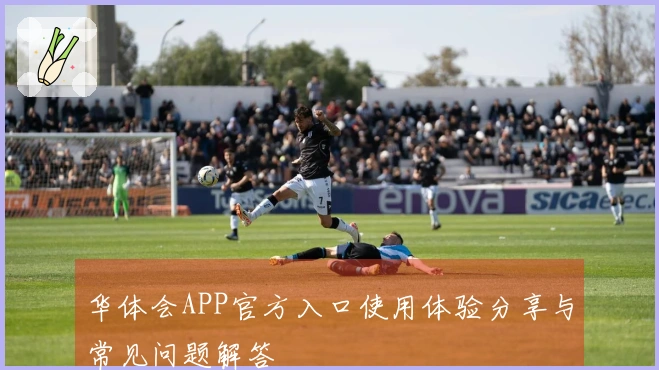 华体会APP官方入口使用体验分享与常见问题解答